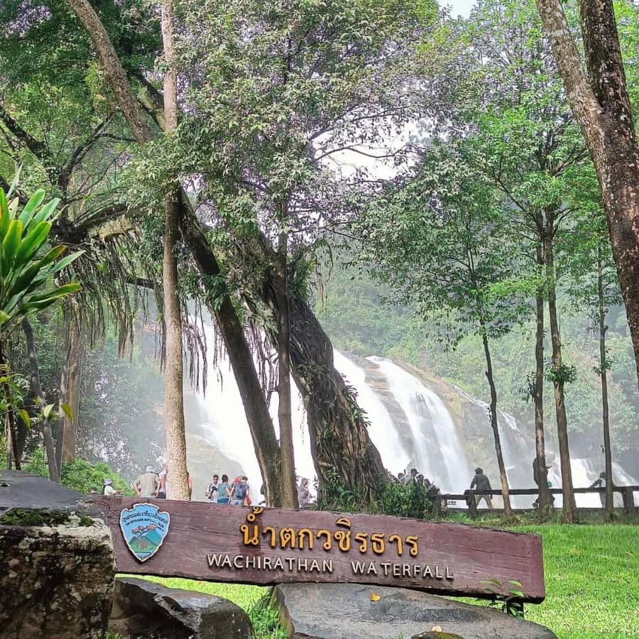 Chiang Mai: Mae Ya Waterfall & Pha Dok Siew Trail Trek - Rice fields change with the season
