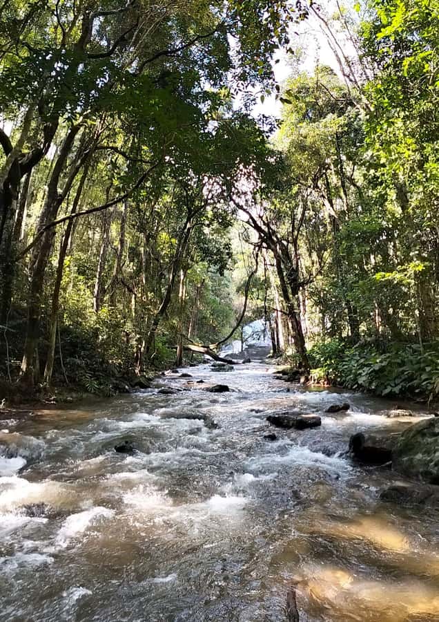 Chiang Mai: Mae Ya Waterfall & Pha Dok Siew Trail Trek - Mae Ya Waterfall is the dramatic finish