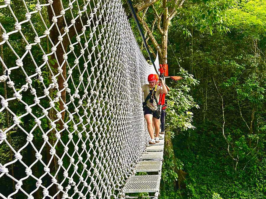Chiang Mai: Sticky Waterfall and Zipline Adventure Day Trip - The drive from Chiang Mai to Mae Taeng