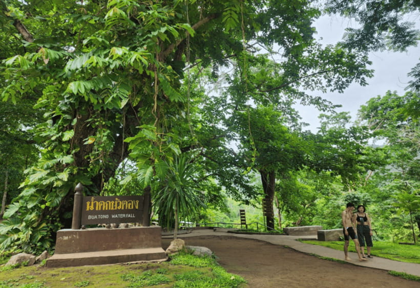 Chiang Mai: Sticky Waterfall, Bua Tong Cave Join Tour - Why Chiang Mai’s Sticky Waterfall is worth your time