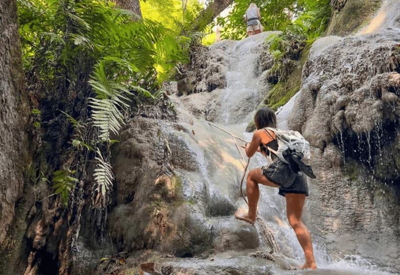 Chiang Mai: Sticky Waterfall, Bua Tong Cave Join Tour - The private ride and what your driver does
