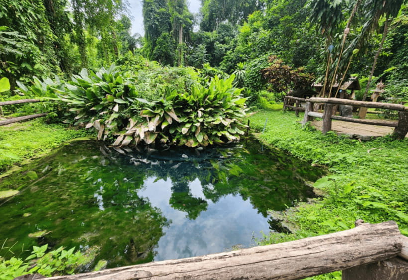 Chiang Mai: Sticky Waterfall, Bua Tong Cave Join Tour - The cave, temple, and spring stop