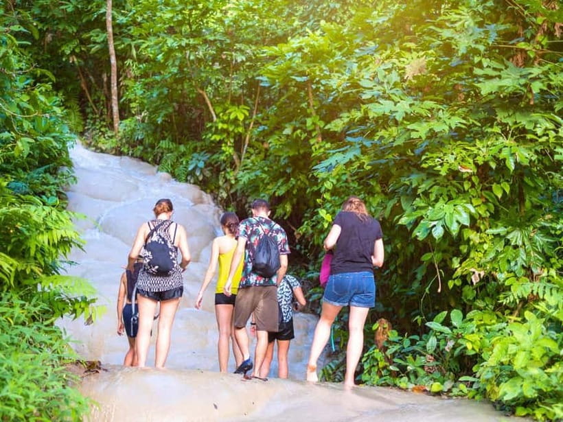 Chiang Mai: Sticky Waterfall by Local Truck with Market Stop - Why Bua Thong Waterfall is worth the ride