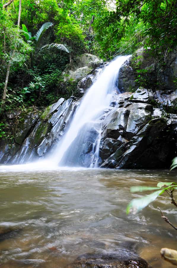 Chiang Mai: Sticky Waterfall & Caves Tour w/ Treehouse Stay - Key points to know before booking