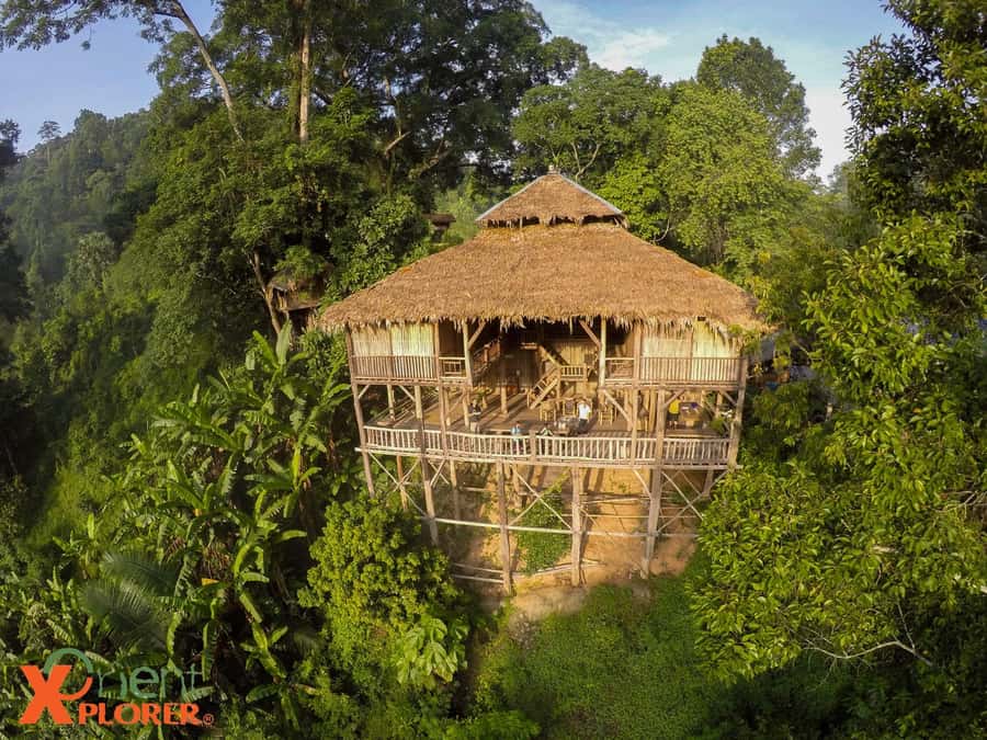 Chiang Mai: Sticky Waterfall & Caves Tour w/ Treehouse Stay - Why this Chiang Mai overnight trip feels different
