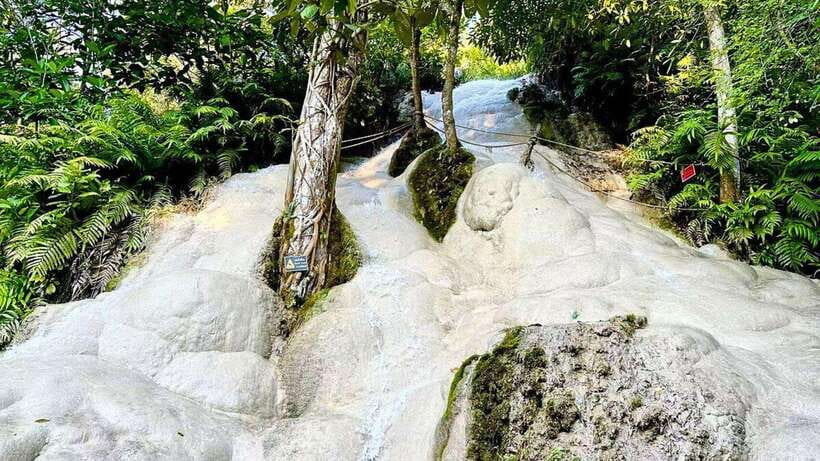 Chiang Mai: Sticky Waterfall, Chet Si Fountain Park Transfer - Why Bua Thong Waterfall feels different