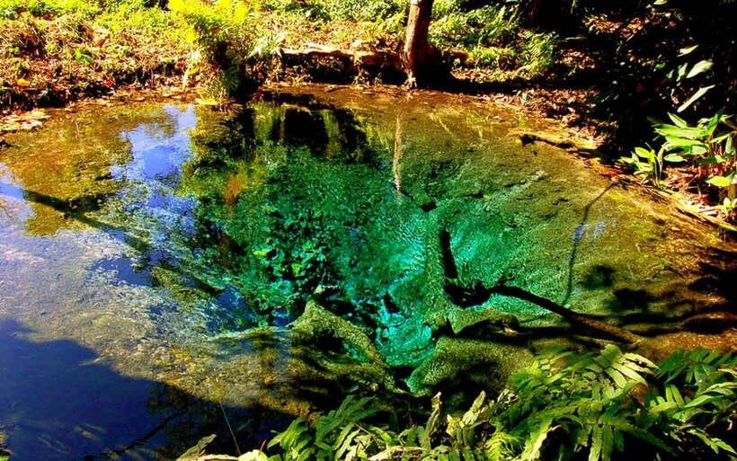 Chiang Mai: Sticky Waterfall, Chet Si Fountain Park Transfer - Two hours at Sticky Waterfall