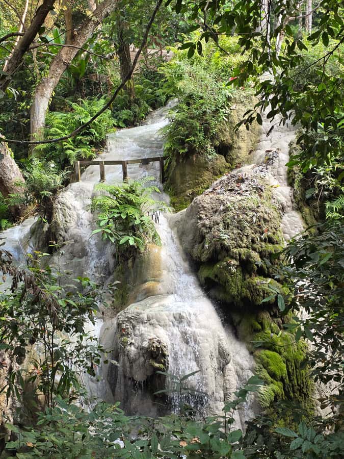 Chiang Mai : Sticky waterfall (Half Day Tour) Hotel Transfer - What two hours at the park really gives you
