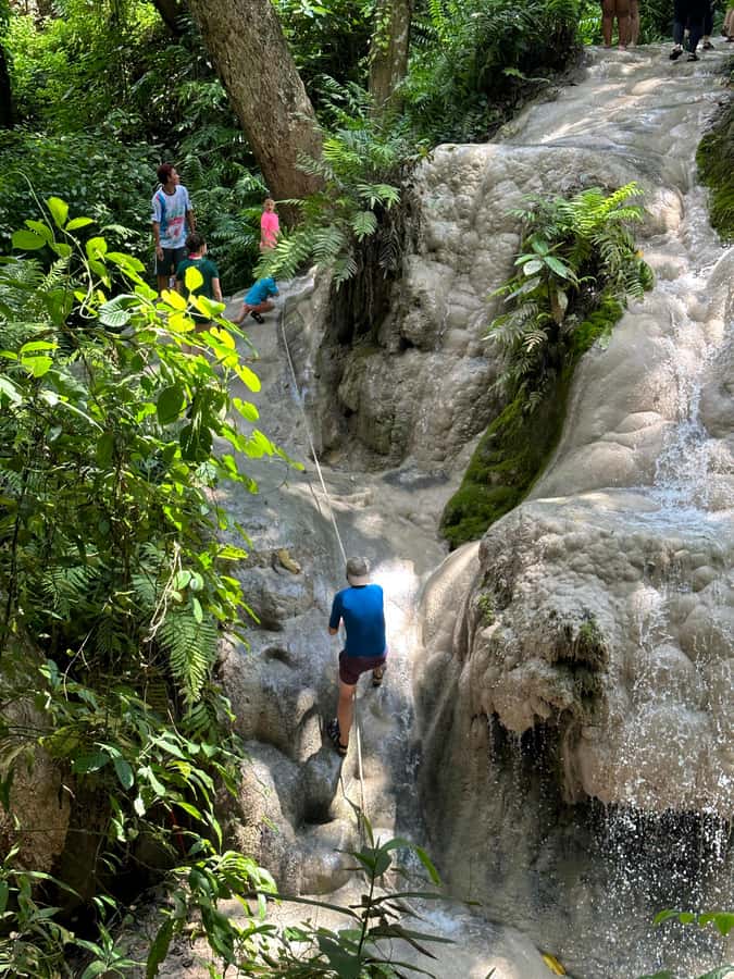 Chiang Mai : Sticky waterfall (Half Day Tour) Hotel Transfer - Is $19 a fair price?
