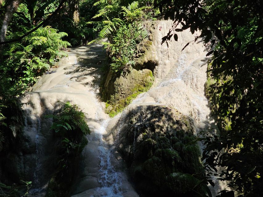 Chiang Mai: Sticky Waterfall Half-Day Tour & Hotel Transfers - Key points at a glance