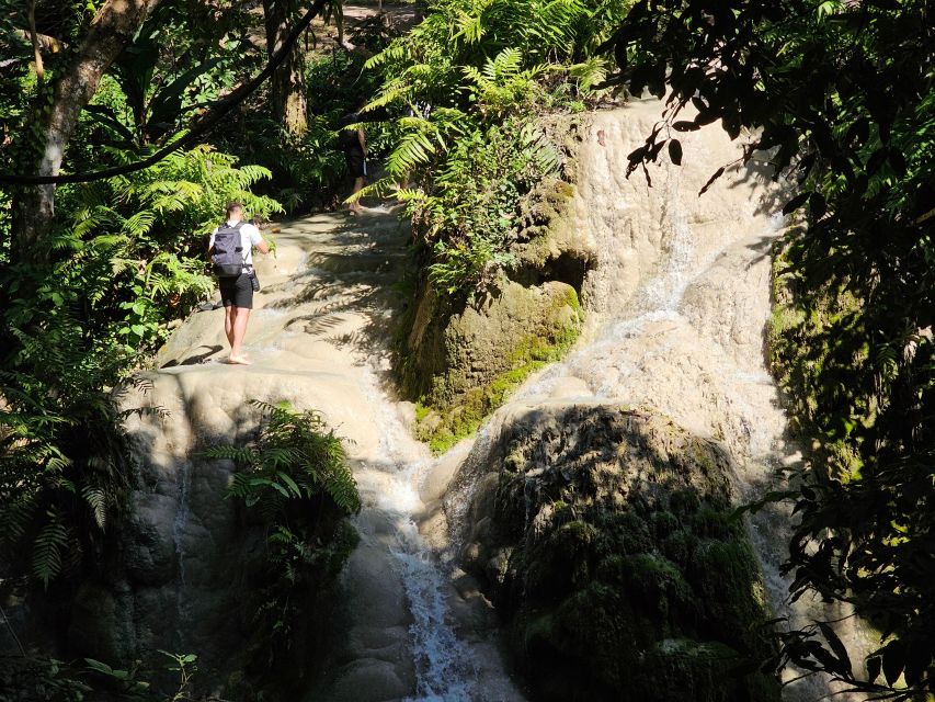 Chiang Mai: Sticky Waterfall Half-Day Tour & Hotel Transfers - Why climbing Bua Thong is the whole point