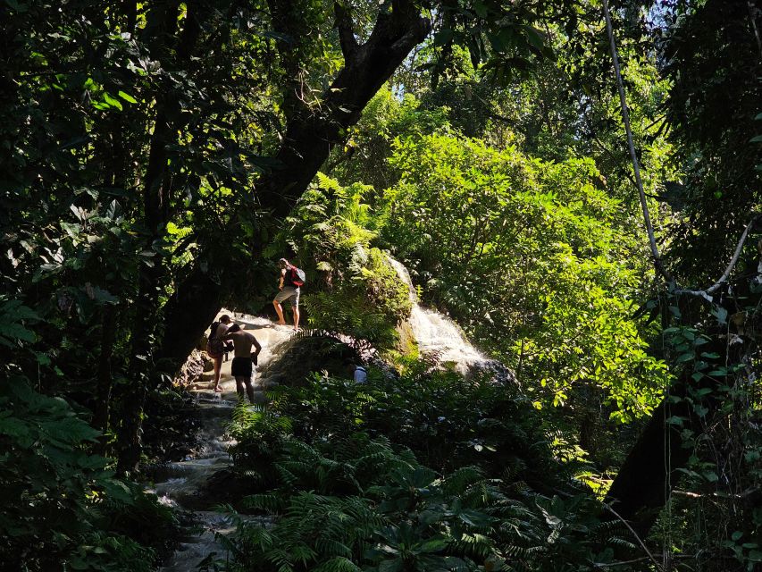 Chiang Mai: Sticky Waterfall Half-Day Tour & Hotel Transfers - Getting there in a songthaew or private car