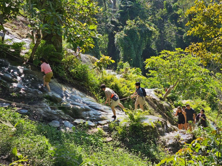 Chiang Mai: Sticky Waterfall Half-Day Tour & Hotel Transfers - Si Lanna National Park and the spring at the top