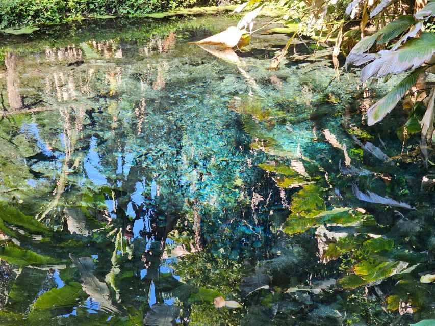Chiang Mai: Sticky Waterfall Half-Day Tour & Hotel Transfers - Is $30 good value?