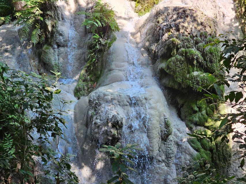 Chiang Mai: Sticky Waterfall Half-Day Tour & Hotel Transfers - What to pack for a comfortable climb