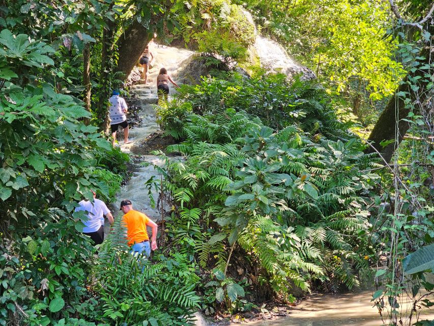 Chiang Mai: Sticky Waterfall Half-Day Tour & Hotel Transfers - Who should book this half-day outing?