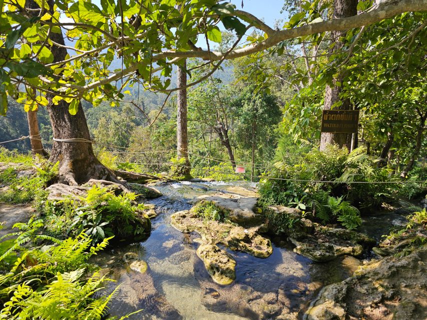 Chiang Mai: Sticky Waterfall Half-Day Tour & Hotel Transfers - The best timing: take the first morning departure