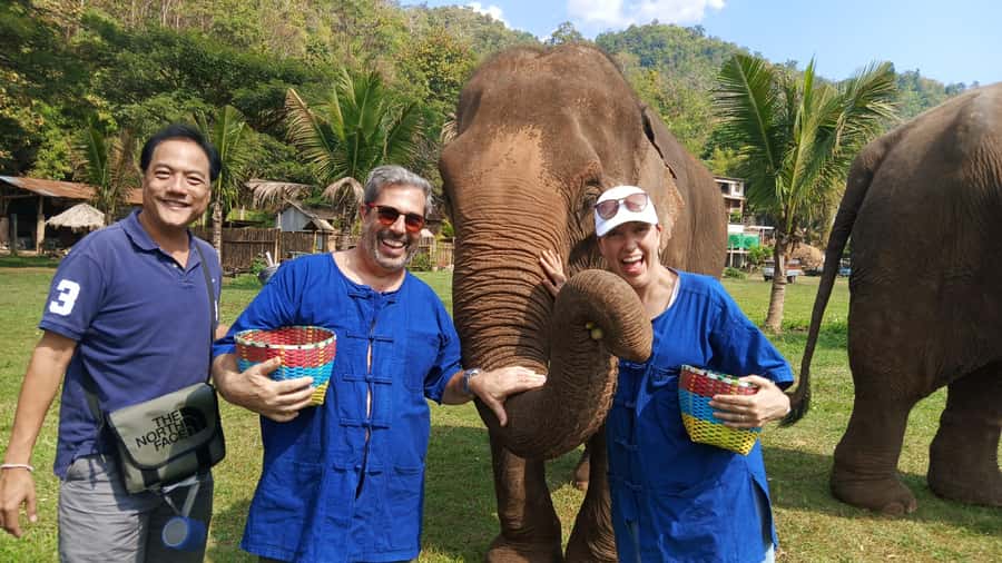 Chiang Mai Tour: Bua Tong Sticky Waterfall & Elephant Care - Key points to know before booking