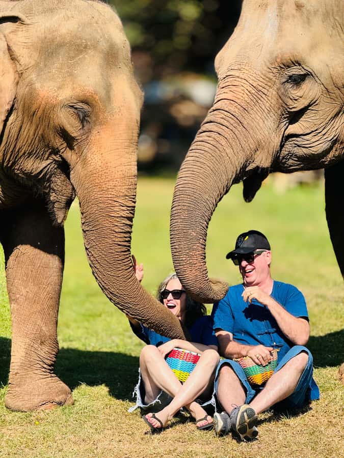 Chiang Mai Tour: Bua Tong Sticky Waterfall & Elephant Care - Why Bua Tong Sticky Waterfall is worth the morning