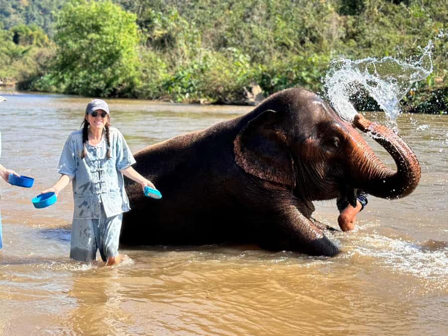 Chiang Mai Tour: Bua Tong Sticky Waterfall & Elephant Care - Who will enjoy this tour most