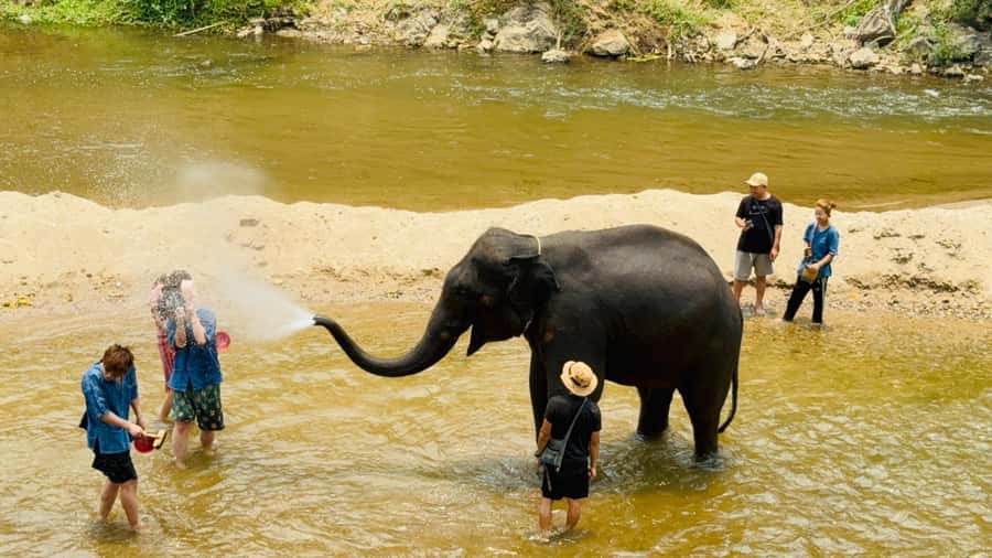 Chiang Mai Tour: Bua Tong Sticky Waterfall & Elephant Care - The road to the elephant sanctuary