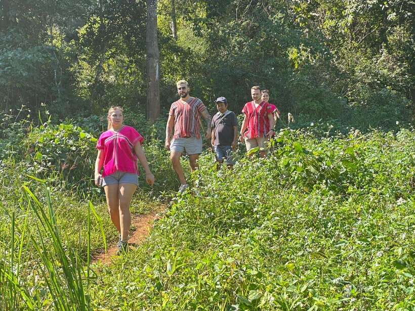 Chiang Mai Untouched Elephant: Nature Walk & Waterfall Trek - A home-cooked lunch in the village