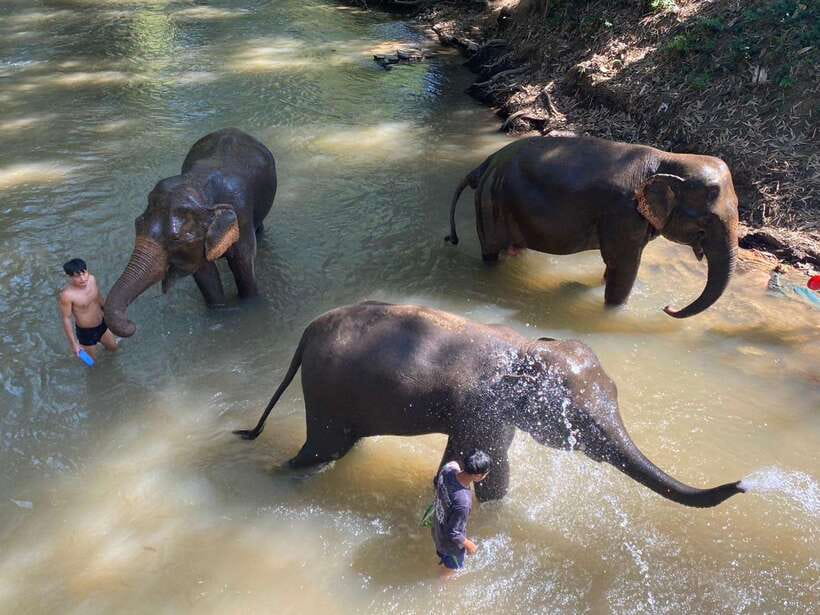 Chiang Mai Untouched Elephant: Nature Walk & Waterfall Trek - The Chiang Mai pickup and the long road into the hills