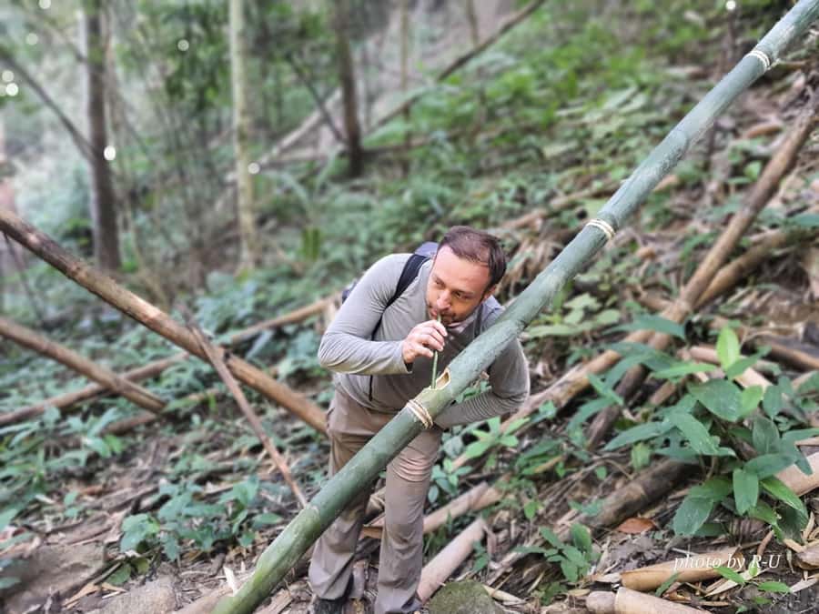 Chiang Rai: 2-Day Jungle Trek only walk with Waterfall - Key points at a glance