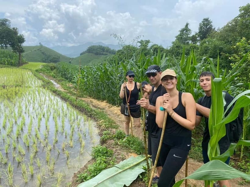 Chiang Rai Trek: 4 Hilltribes Villages & Waterfall Only Walk - Starting at the hot spring and entering the forest