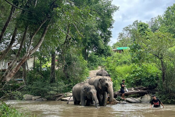 ChiangMai 1DayTour:Elephant Sanctuary,king&queen pagoda,waterfall - The 7:30 a.m. start and the road to Doi Inthanon