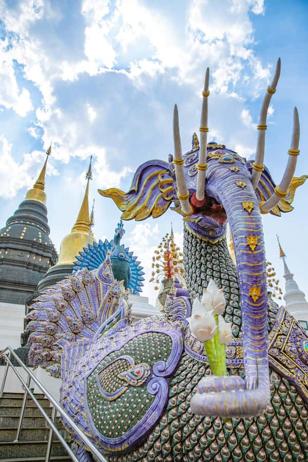 Chiangmai : Sticky waterfall & Land of angels & Wat ban den. - Why the Sticky Waterfall is the main event