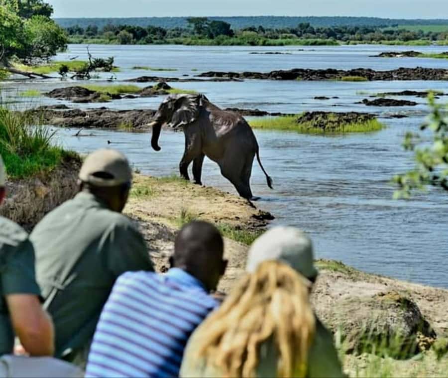 Chobe Day Trip - From Vic Falls - With Lunch (Buffet) - What $144 includes, and what it does not