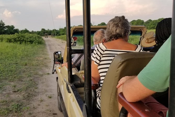 Chobe Day Trip from Victoria Falls, Zimbabwe - Timing, comfort, and the long return