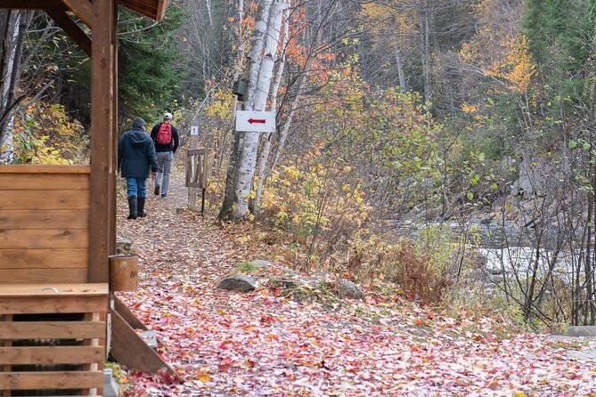 City tour and hiking to the Canyon and Waterfall in the Park - What the guide adds to the walk