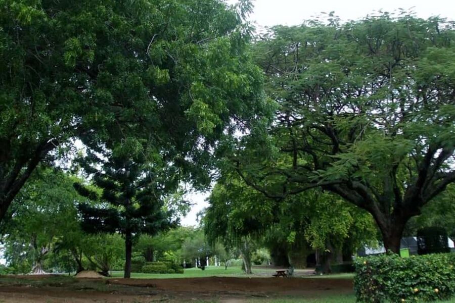City Tour w/ Gardens, Volcano, Trafalgar Falls, Morne Bruce - A short route with a lot of Dominica in it