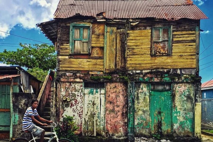 City Tour w/ Gardens, Volcano, Trafalgar Falls, Morne Bruce - A stroll through the Dominica Botanic Gardens