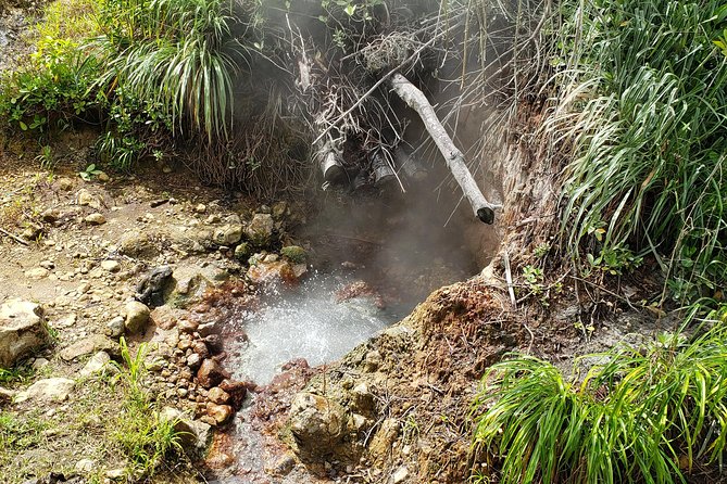 City Tour with Botanical Gardens, Trafalgar Falls & Morne Bruce - Should you book it?