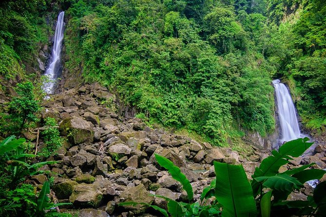 City Tour with Botanical Gardens, Trafalgar Falls & Morne Bruce - What $70 includes, and where the value lies