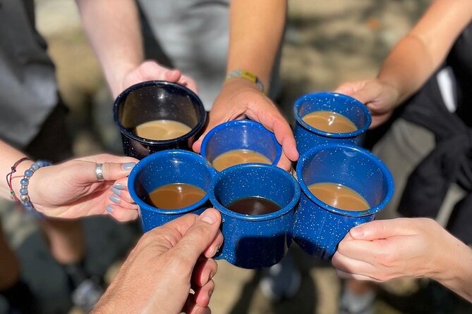 Coffee Hike to Three Waterfalls in DuPont State Forest - Is $69 a fair price?