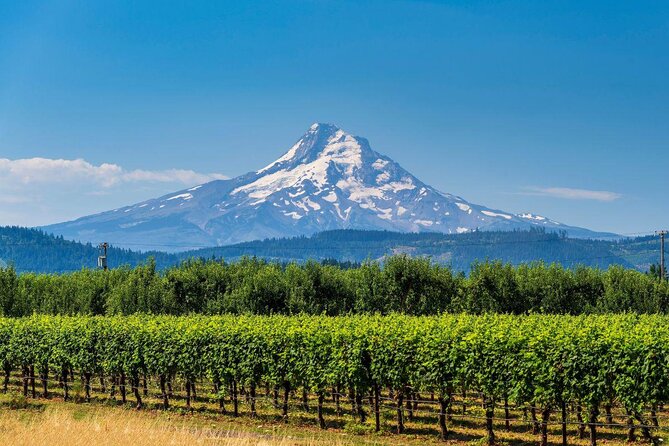 Columbia Gorge Waterfalls and Mt. Hood Tour - Full Day - Key points to know