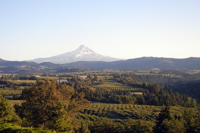 Columbia River Gorge Waterfalls & Mt Hood Tour from Portland, OR - Multnomah Falls is the signature stop