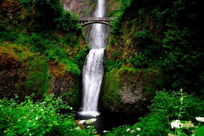Columbia River Gorge Waterfalls & Mt Hood Tour from Portland, OR - Mount Hood changes the temperature and the view