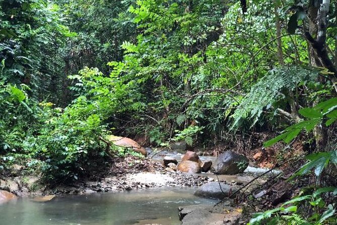''Coral Coast Adventure: Biausevu Waterfall & Natadola Beach !'' - Lunch at Baravi Handcrafts and Cafe