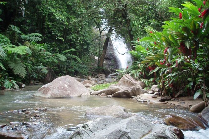 ''Coral Coast Adventure: Biausevu Waterfall & Natadola Beach !'' - Natadola Beach for the final hour