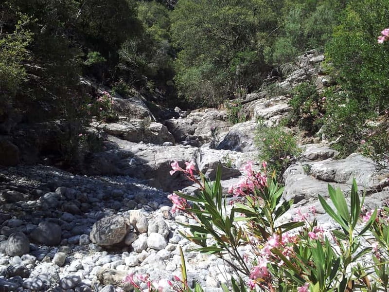 Crete: Richtis Waterfall Full-Day Tour with Olive Tasting - Olive oil, raki, and an older side of Crete