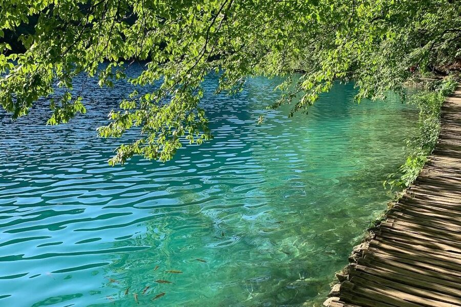 Croatia: Plitvice Lakes Private Tour with Hotel Pickup - The Big Waterfall and the Lower Lakes