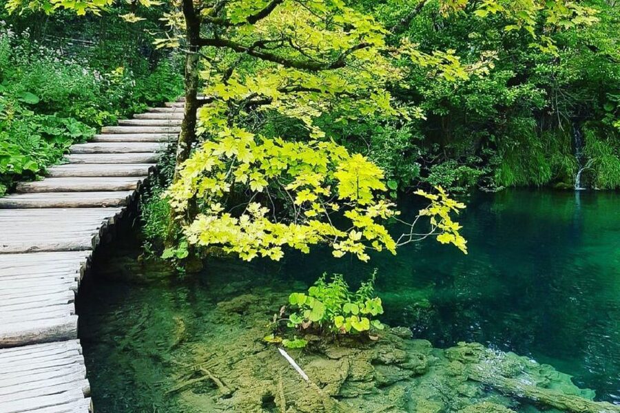 Croatia: Plitvice Lakes Private Tour with Hotel Pickup - Practical details before you go