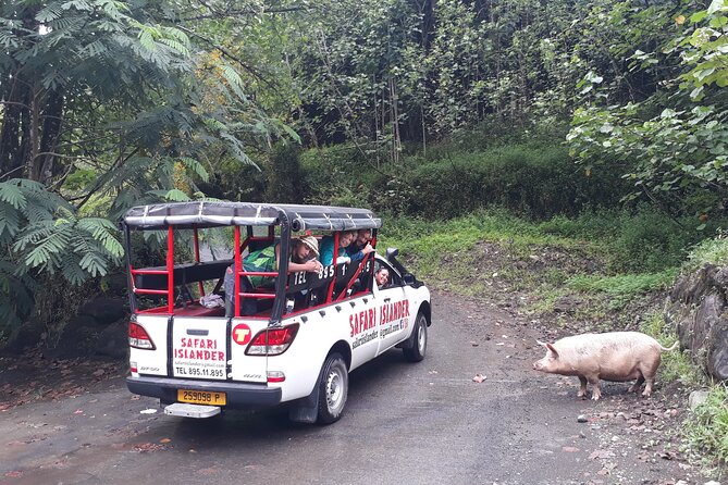Crossing Island of Tahiti 4x4 Mountain, Waterfall, River, Basins - The bakery stop and lunch plan