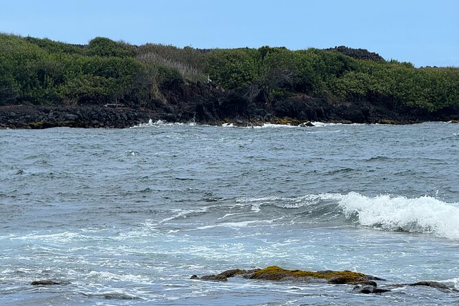 Cruise Ship Favorite Hilo Excursion Volcanoes and Akaka Falls - From Hilo to a 442-foot waterfall