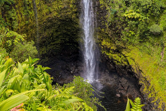 Cruise Ship Favorite Hilo Excursion Volcanoes and Akaka Falls - Steam vents and sulfur at Haʻakulamanu